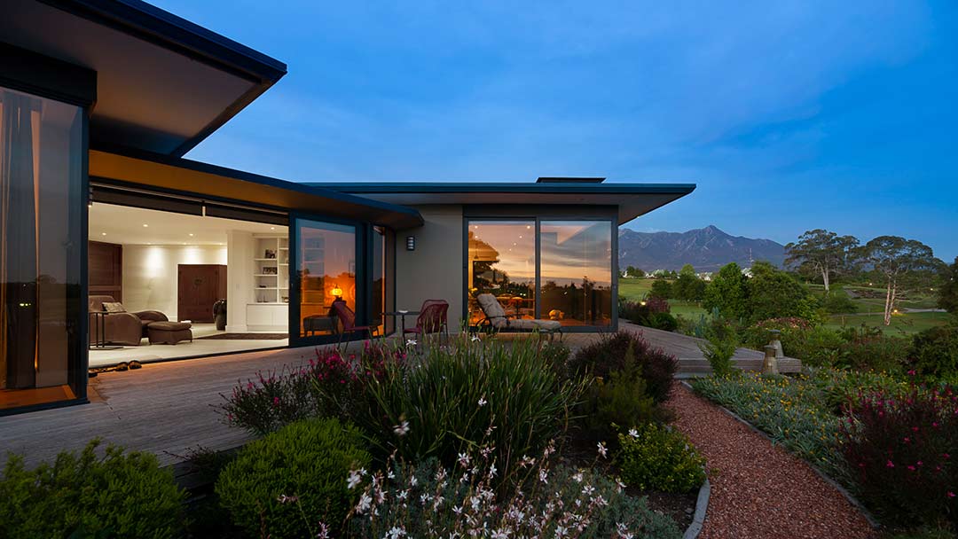 Aromatic Buchus and Wild rosemary in planting mix
