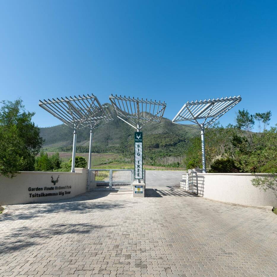 Main gate with sculptural steel shade structures and mountain view, Commercial Architecture Eastern Cape