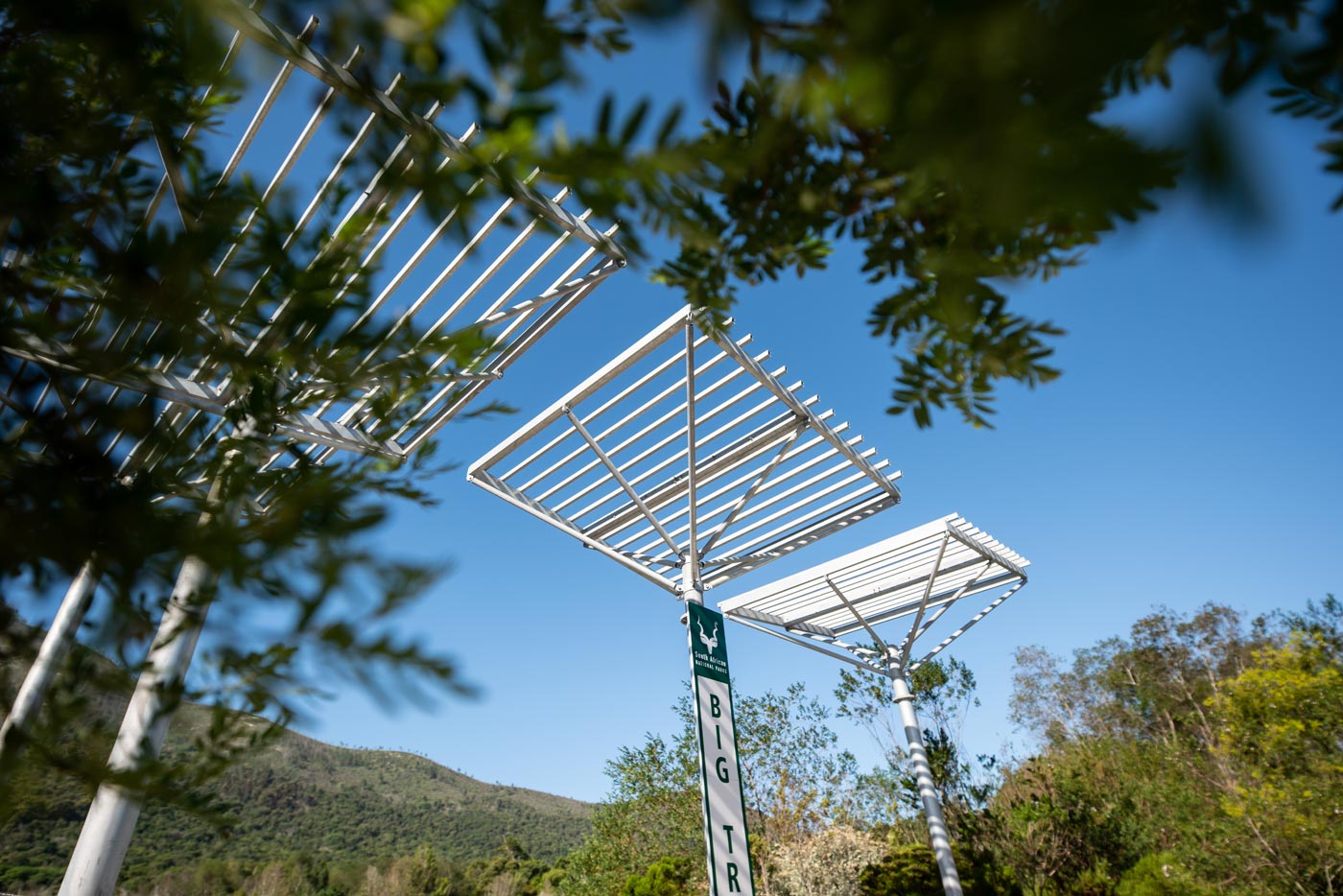 Close view of steel shade structures framed by foliage at the entrance plaza